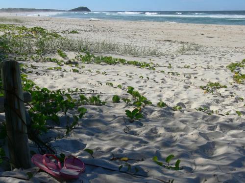 a sandy beach with plants growing in the sand at White Waves on the Beach in Hastings Point