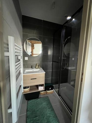 une salle de bain avec un lavabo, une douche et un miroir dans l'établissement App T2 proche de la gare 503, à Saint-Étienne