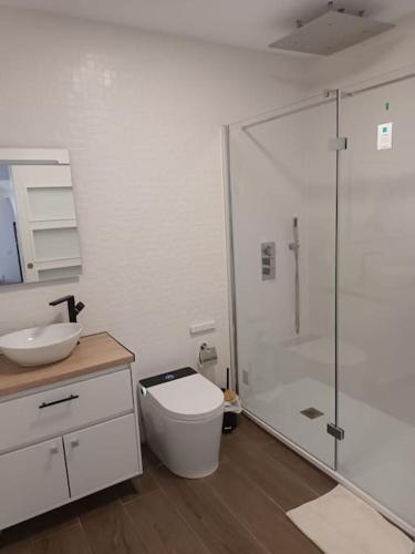 a bathroom with a shower and a toilet and a sink at Orotava Bliss A in La Orotava