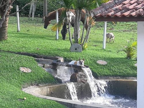 Giardino di Casa Coronel Estevão