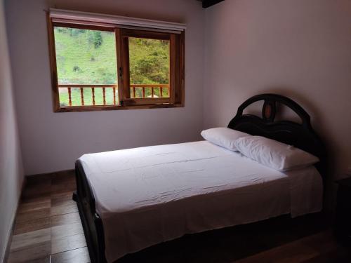 a bedroom with a bed and a window at Casa El Cedral Hospedaje in Ibagué