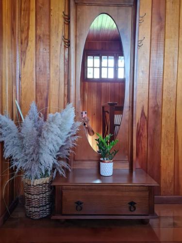 a mirror and two plants on a wooden table at Chalés Rota das Cachoeiras in Urupema