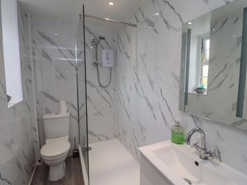 a bathroom with a shower and a toilet and a sink at Budle Bay Cottage in Bamburgh