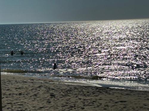 a group of people in the water at the beach at The Amazing Escape in Manistee
