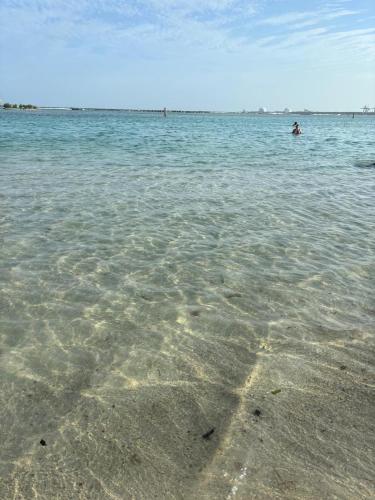 Φυσικό τοπίο κοντά σε αυτό το διαμέρισμα