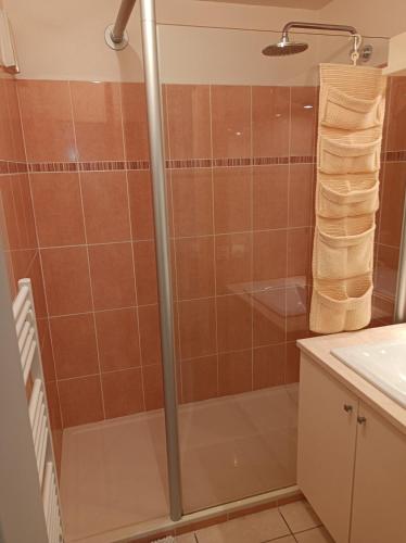 une douche avec une porte vitrée dans une salle de bain dans l'établissement Havre de paix, à Fréjus