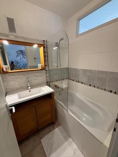 une salle de bain avec une baignoire, un lavabo et une douche dans l'établissement Le Calme- Cosy, chaleureux - Parc de verdure, à Caluire-et-Cuire