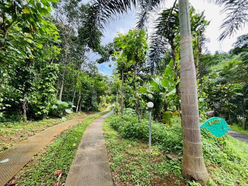 a dirt road next to a palm tree at EAST STAVANGER in Anaviratty