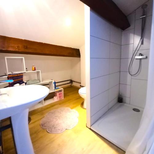 une salle de bain avec une douche, un lavabo et des toilettes dans l'établissement Duplex atypique centre historique, à Hyères