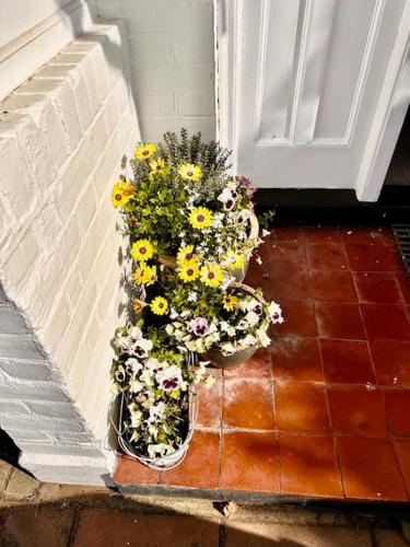 a group of flowers in a pot next to a door at 4 Bed house in Daneby Road,SE6 in Catford