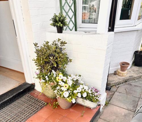 two potted plants on the doorstep of a house at 4 Bed house in Daneby Road,SE6 in Catford