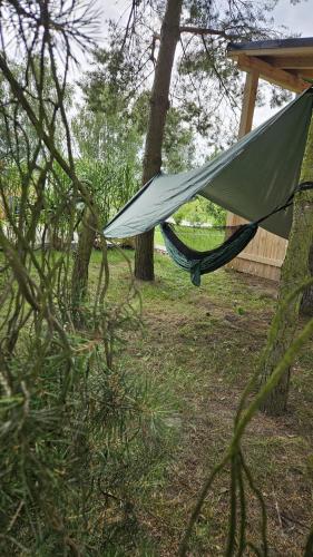 a hammock hanging from two trees in a yard at DOMIKO in Nickelswalde