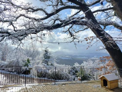 a bird house under a tree with snow on it at Agriturismo Roccamaia in Pievebovigliana