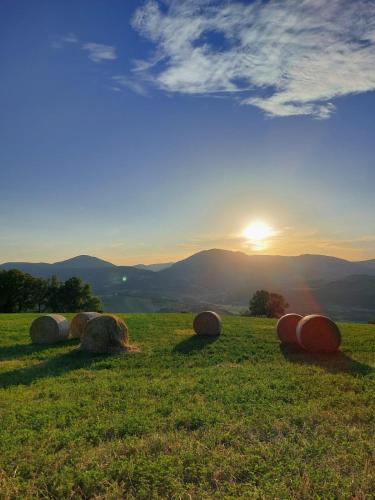 a group of hay bales in a field with the sunset at Agriturismo Roccamaia in Pievebovigliana