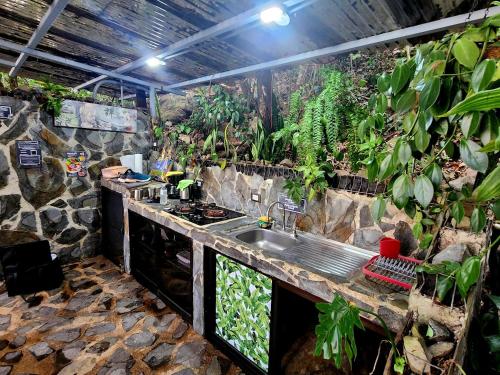 a kitchen with a sink and a bunch of plants at Domos Mirador Romantic Private Honeymoon Glamping in Miramar