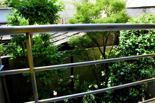 Vườn quanh GoodMorning House 2