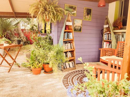 a purple house with plants and a book shelf at 8 - LE VACOA - CHAMBRE 8 ETG G in Saint-Paul