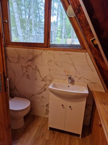 a bathroom with a sink and a toilet at Cabana Ińsko-domek 20 metrów od plaży in Ińsko