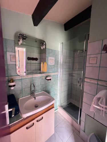 une salle de bain avec un lavabo et une douche dans l'établissement Studio Aigues Mortes avec parking gratuit, à Aigues-Mortes