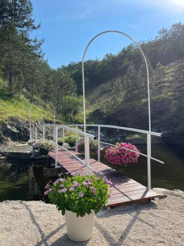 a wooden boardwalk with flowers on it next to the water at Zicka plaza in Kraljevo