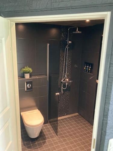 a bathroom with a shower and a toilet in it at Moderni rantasauna ja -mökki in Joensuu