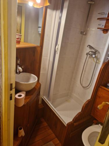 アロスにあるNostre Pitchoun Paradisのシャワー、洗面台、トイレ付きのバスルーム