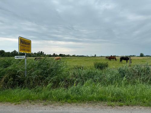 a yellow sign on the side of a field with horses at Ferienwohnung und Pension Knabbe in Loxstedt