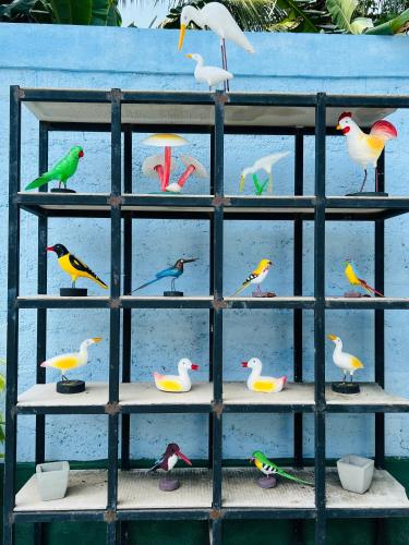 a bunch of birds sitting on a shelf at Villa Eco Green Airport in Katunayake