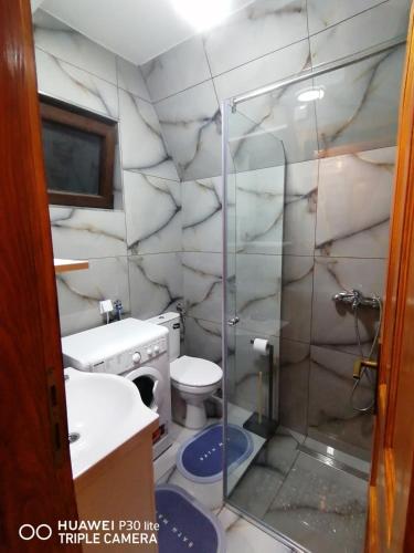 a bathroom with a toilet and a glass shower at Vila Dajana Zminica in Žabljak