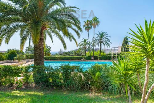 un palmier en face d'une piscine dans l'établissement Appartement jardin et piscine Nice, à Nice
