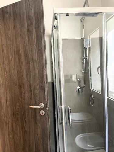 a bathroom with a shower with a wooden door at Donnigheddu in Rudalza
