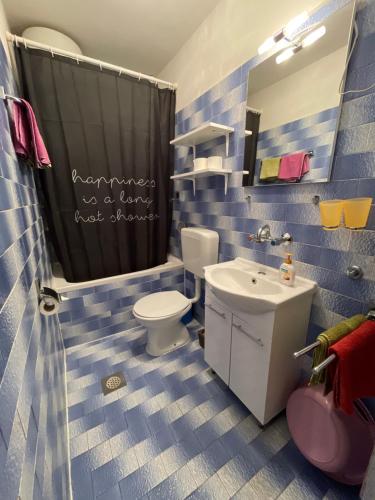 niebiesko-biała łazienka z toaletą i umywalką w obiekcie Valentina w mieście Novigrad