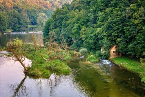 a river with a bridge in the middle of a forest at Kozline Kordun in Veljun