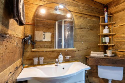 a bathroom with a sink and a mirror at Kozline Kordun in Veljun