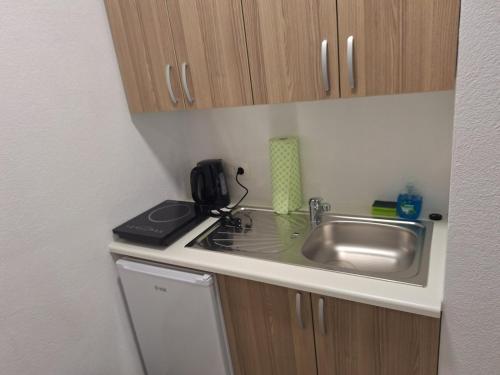 a kitchen with a sink and a counter top at Felić Apartments in Vipava