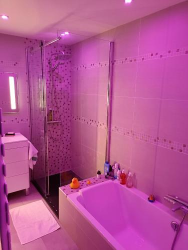 La salle de bains rose est pourvue d'une baignoire et d'une douche. dans l'établissement T3 - GARE -CENTRE VILLE- PARKING- Calme - WIFI - NETFLIX - CANALP PRIME VIDEO, à Annecy