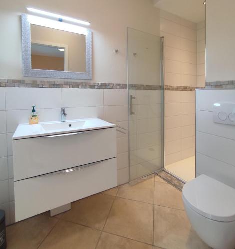 a bathroom with a toilet and a sink and a shower at Zimmer mit Terrasse am Jakobsberg in Ockenheim