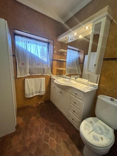 a bathroom with a toilet and a sink and a mirror at Las Tres Patas Complejo Rural in Enix