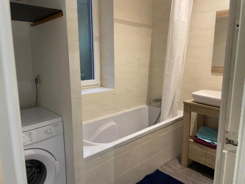 une salle de bain avec une machine à laver et un lavabo dans l'établissement 6 couchages proche centre ville location tarif spécial longue durée, à Caluire-et-Cuire