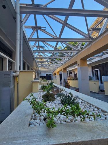 Trastevere golden luxury loft