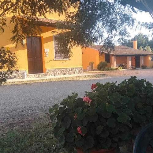 a yellow house with a yard with flowers in front of it at Agriturismo da Remo in Magliano in Toscana
