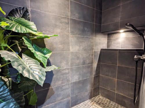 La salle de bains est pourvue d'une douche avec une plante. dans l'établissement Studio Confort Centre-Ville: Cuisine Équipée, Clim, WiFi, Netflix, Proche Gare et Bus Gratuits - FR-1-591-542, à Châteauroux