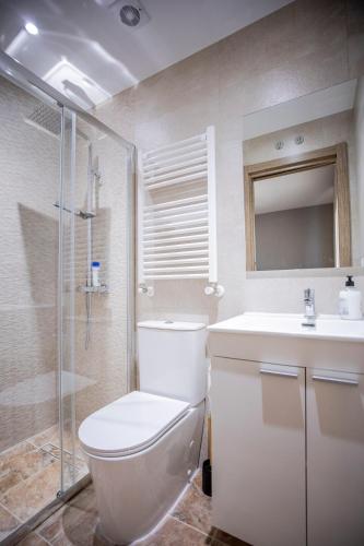 a bathroom with a toilet and a sink and a shower at Casa Rural Mario in Espeja