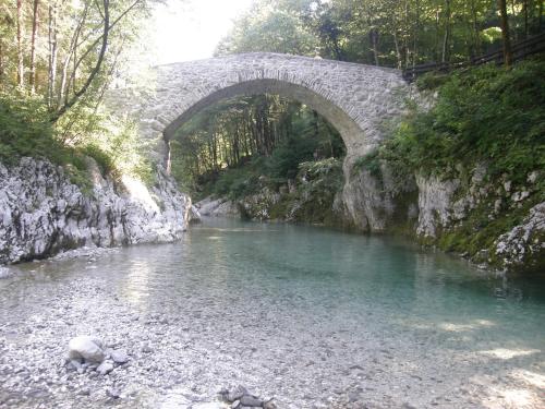 a stone bridge over a river in a forest at Apartment Šavli in Kobarid