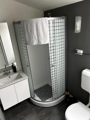 a bathroom with a shower with a sink and a toilet at Route 57 Sichevița in Sicheviţa