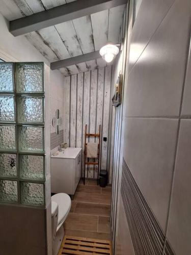 un piccolo bagno con un water e un lavandino di Kaz IXORA a Les Anses-d'Arlets