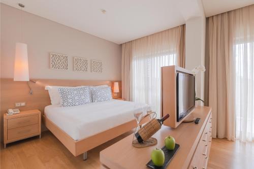 a hotel room with a bed and a television at TUI Blue Barut Andız - All Inclusive - Adults Only in Side