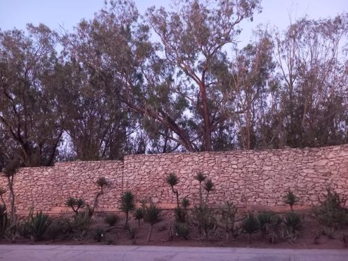 Galería fotográfica de Dar Al Manar en El Jadida