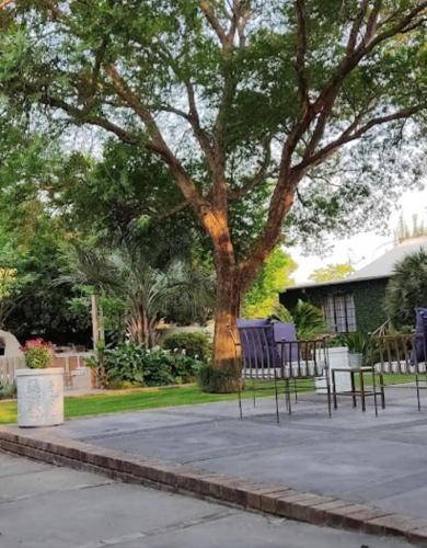a group of chairs sitting under a tree at J'Cups Guest House in Centurion