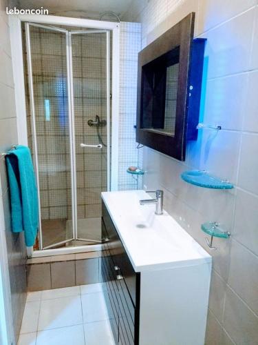 La salle de bains est pourvue d'un lavabo, d'une douche et d'une télévision. dans l'établissement Lamaisondugénie, à Nice